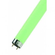 L-36W/66 G13 Colour зелен. OSRAM (10шт.)